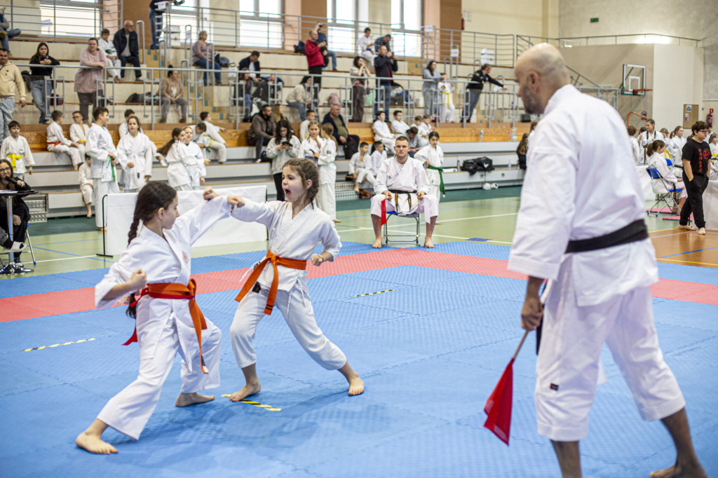 Święto karate w Grabowie nad Prosną