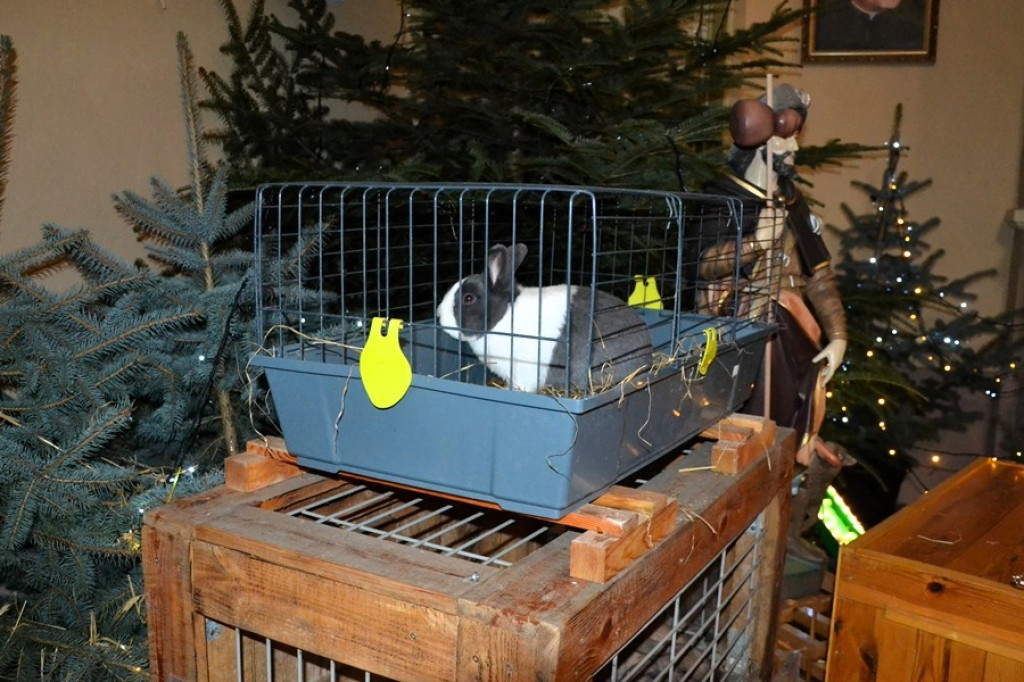 Mikstackie Betlejem AD 2025