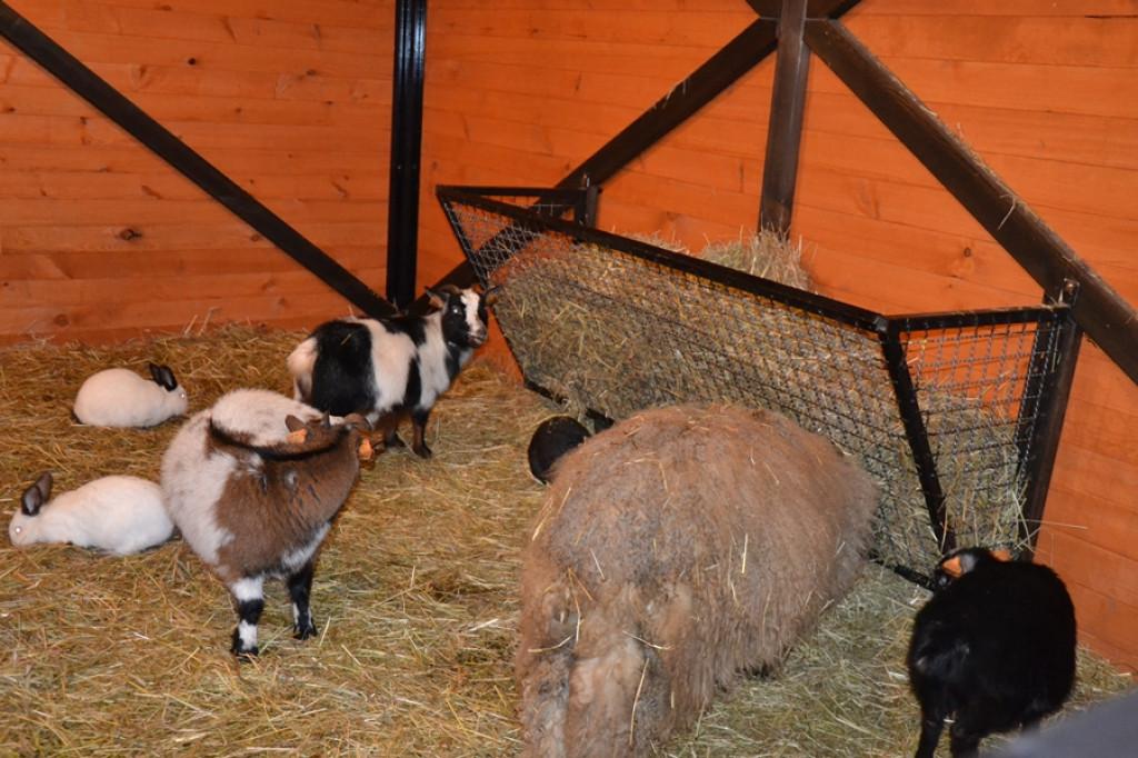 Mikstacka Szkoła św. Rocha na szlaku