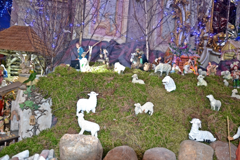 Mikstacka Szkoła św. Rocha na szlaku