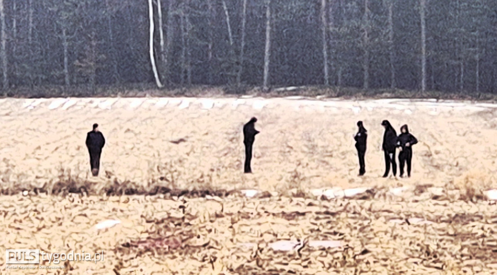 Pola skąpane we krwi