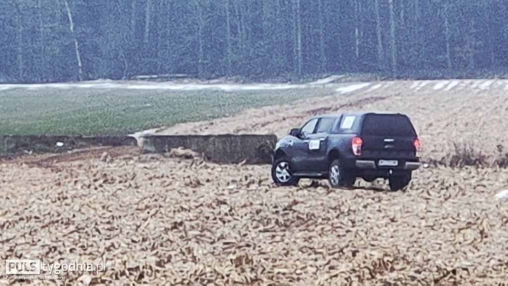 Pola skąpane we krwi