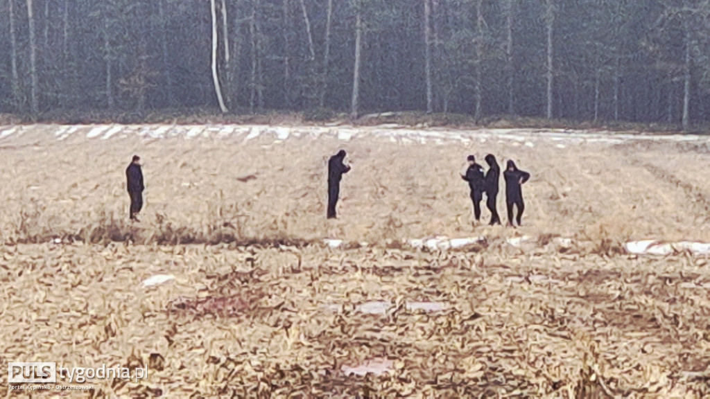 Pola skąpane we krwi