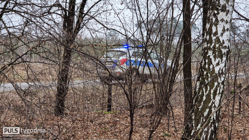 Pola skąpane we krwi