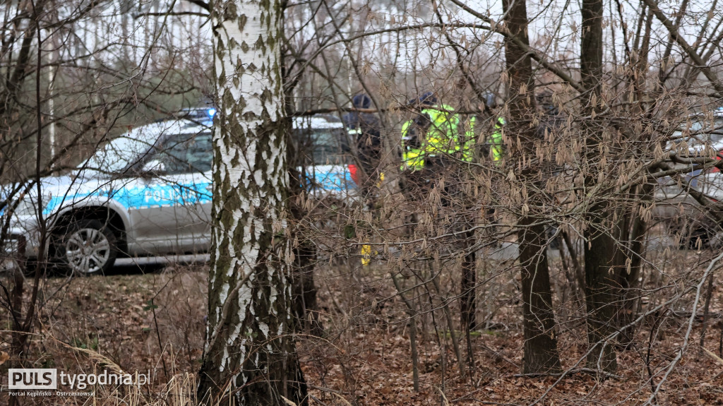 Pola skąpane we krwi