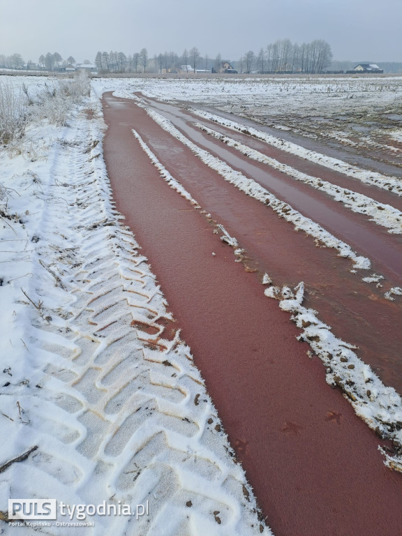 Pola skąpane we krwi