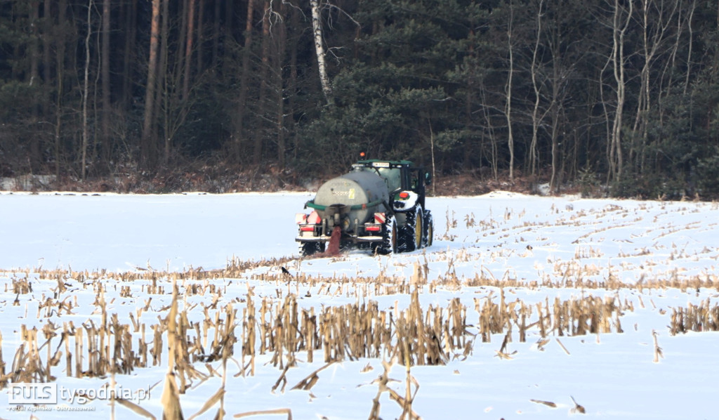 Pola skąpane we krwi