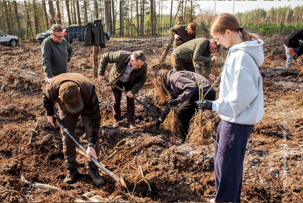 Uczniowie szkoły w Czajkowie sadzili las