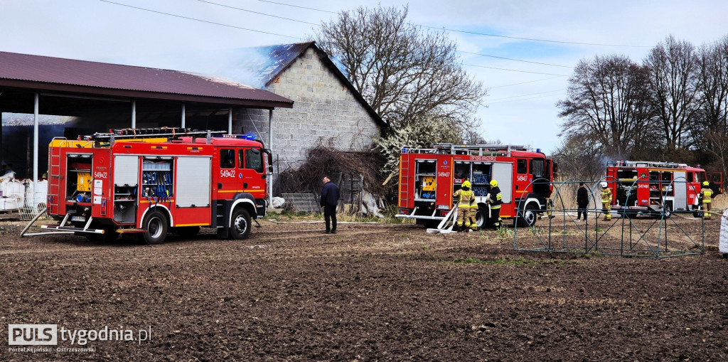 Pożar w Kuźnicy Grabowskiej