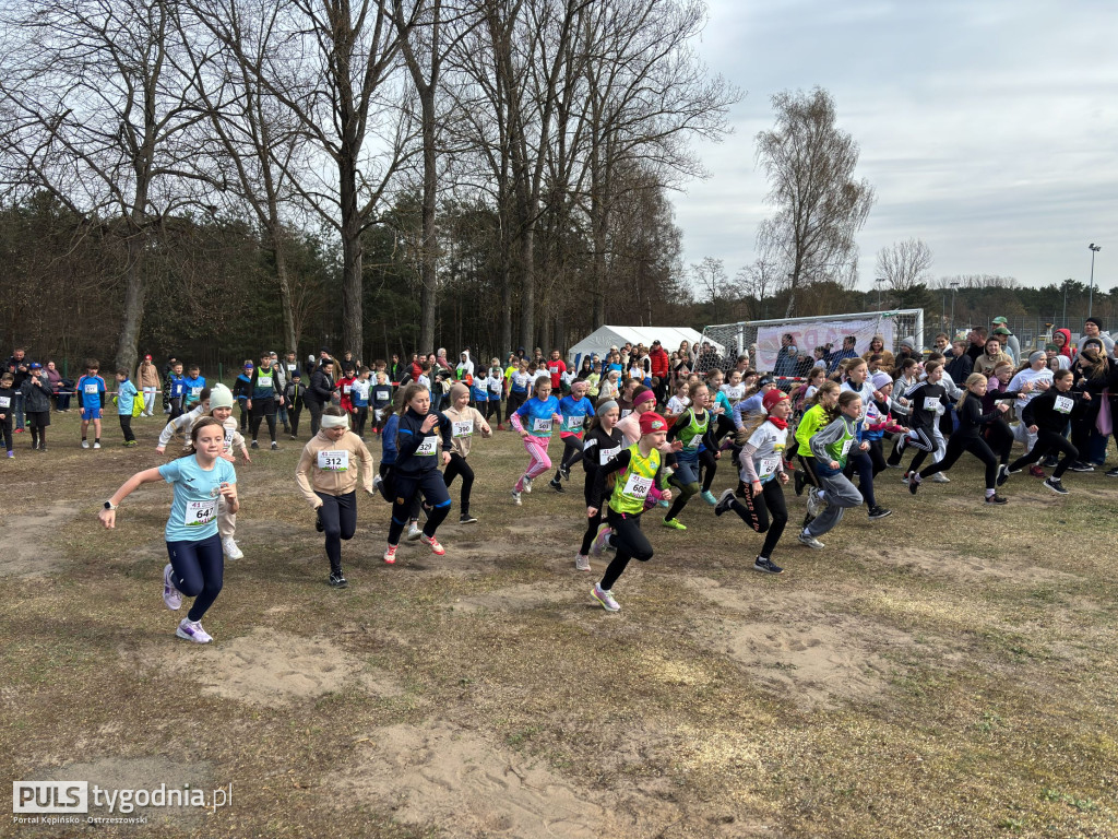 Biegi w Kobylej Górze