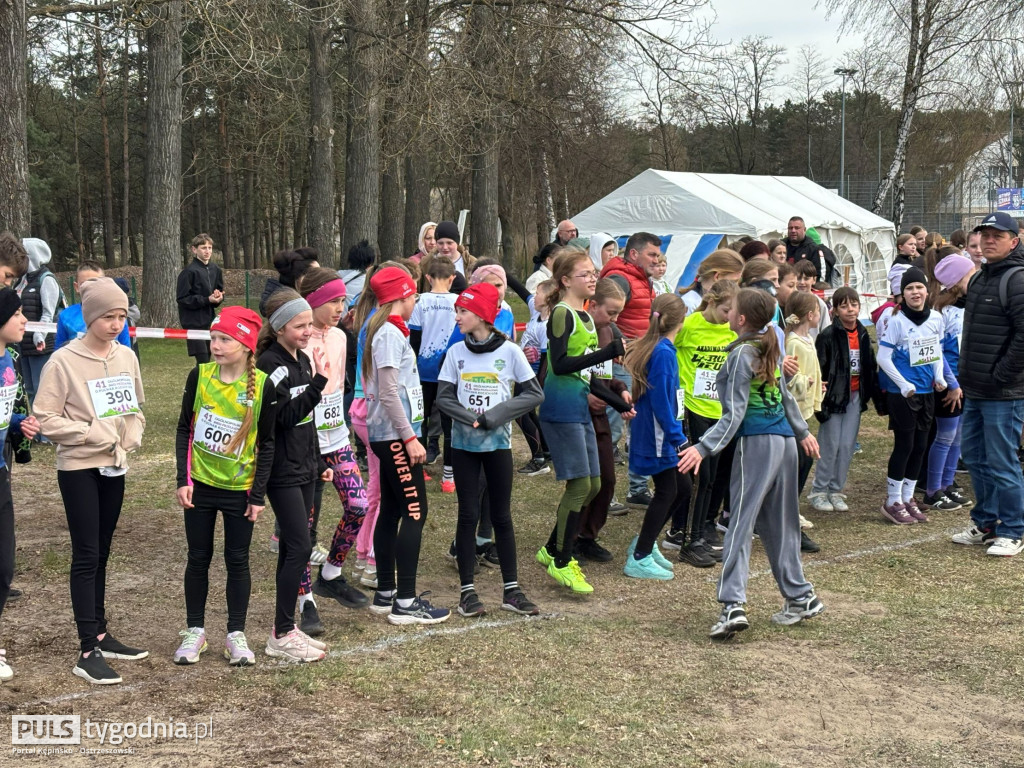 Biegi w Kobylej Górze