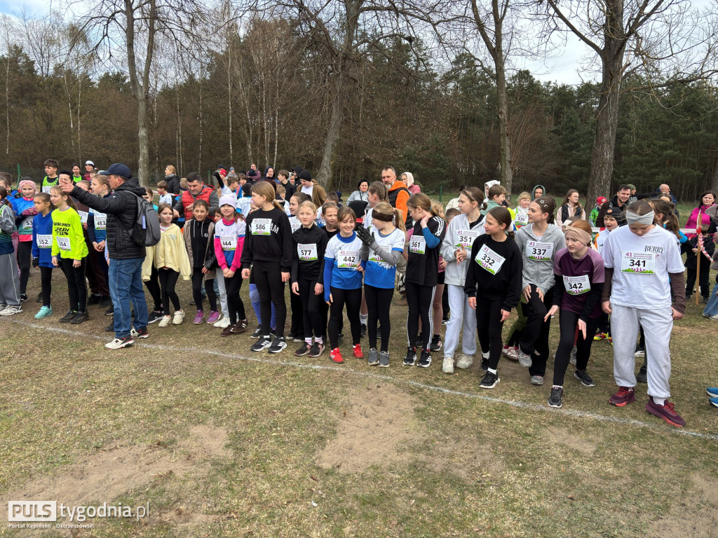 Biegi w Kobylej Górze