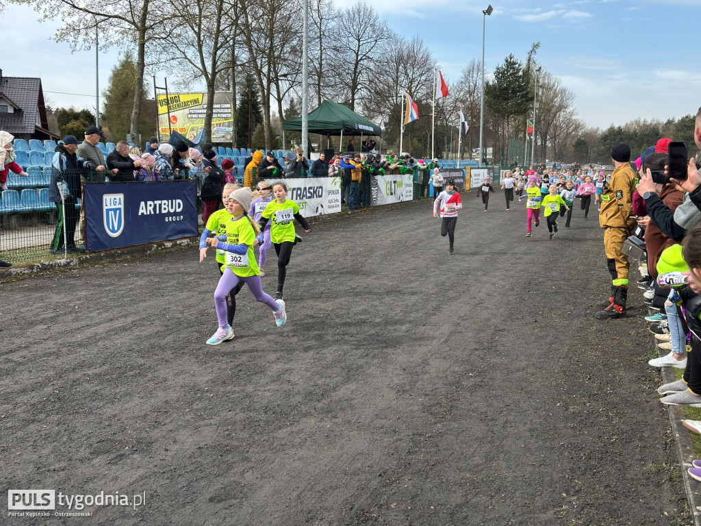 Biegi w Kobylej Górze