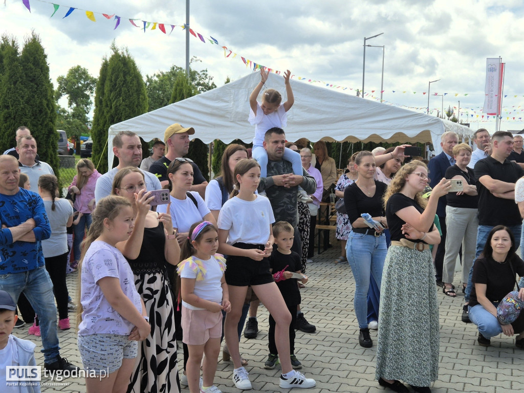 IV Festyn Rodzinny ,,Razem dla Rogaszyc’’