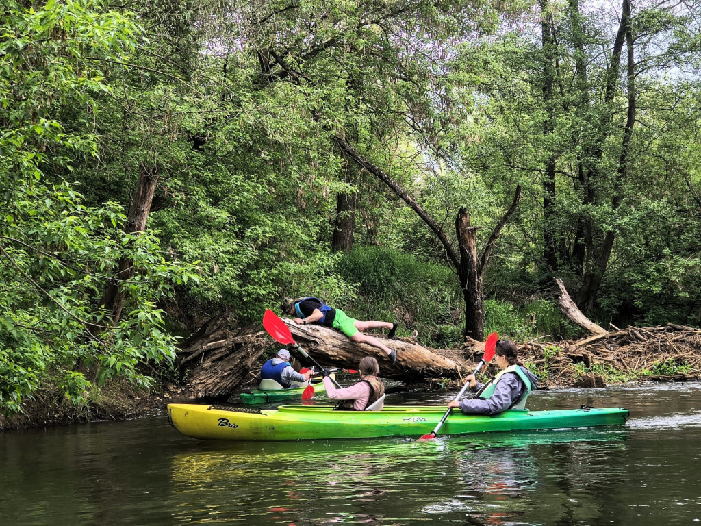 Harcerze na naszych łamach