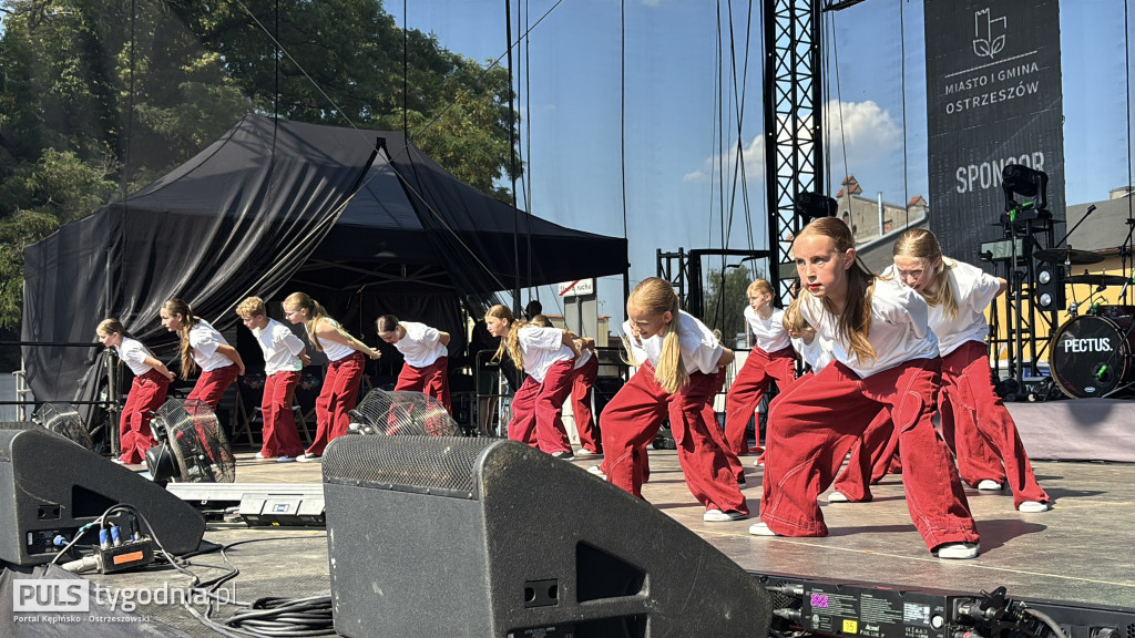 Dni Ziemi Ostrzeszowskiej (dzień II)