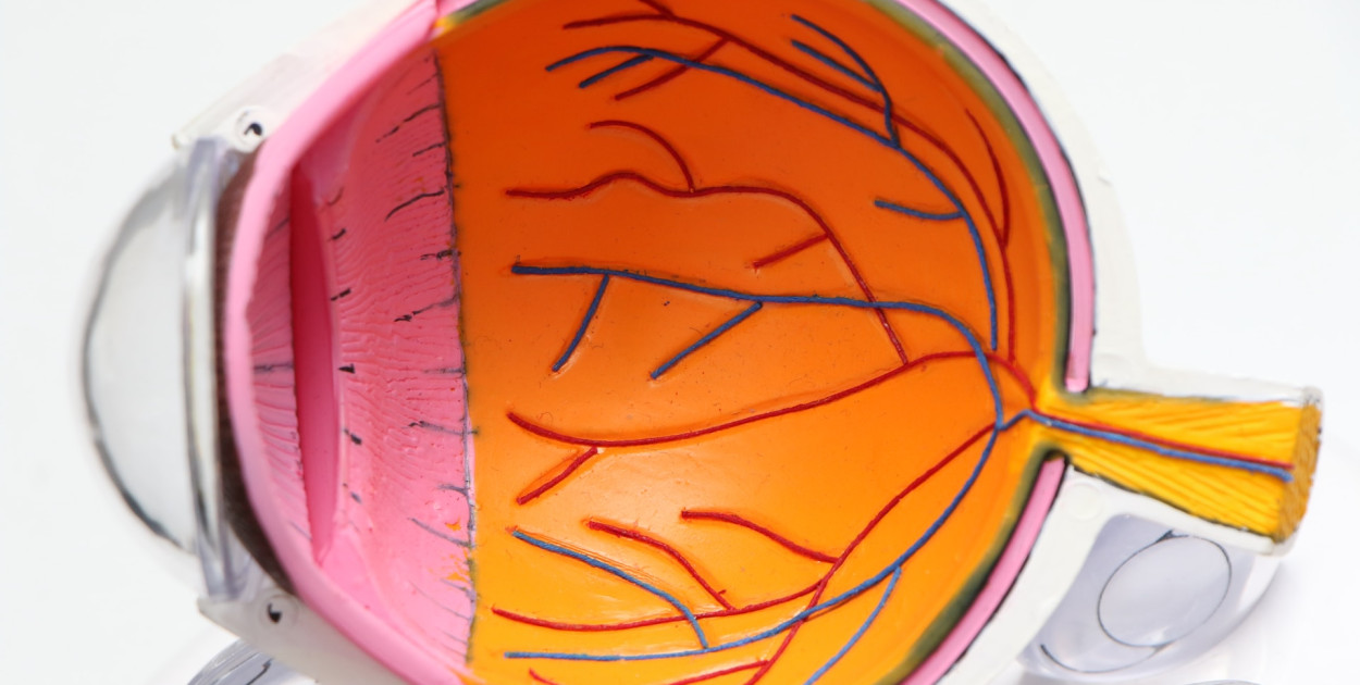 Tajemnice dobrego widzenia - odkryj ofertę dobrego optyka