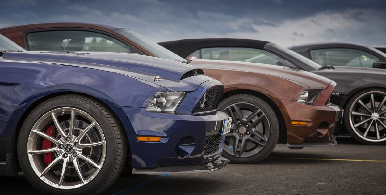 Obraz domaxi198 z Pixabay