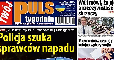 Sprawdź jaki jest Puls-40981