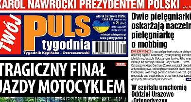 Sprawdź jaki jest Puls-41108