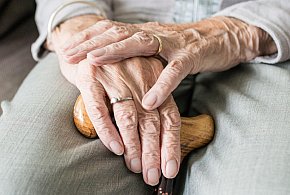 Nowa stawka najniższej emerytury. Rząd ujawnił kwotę-41233