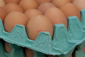 Salmonella na jajach znanej marki. Nie jedz, jeśli masz je w lodówce!-41413
