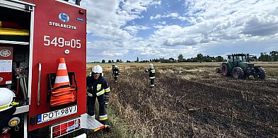 Pożar zboża na pniu w Grabowie Wójtostwie-41598