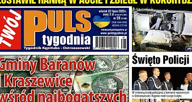Sprawdź jaki jest Puls-41614