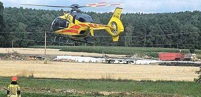 W Bukownicy krowy zaatakowały i poturbowały kobietę-41638