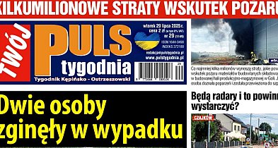 Sprawdź jaki jest Puls-41687