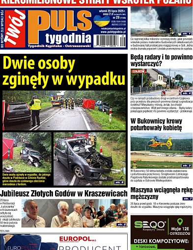 Sprawdź jaki jest Puls-41687