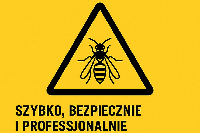 zdjecie ogloszenia