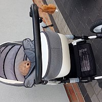 zdjecie ogloszenia