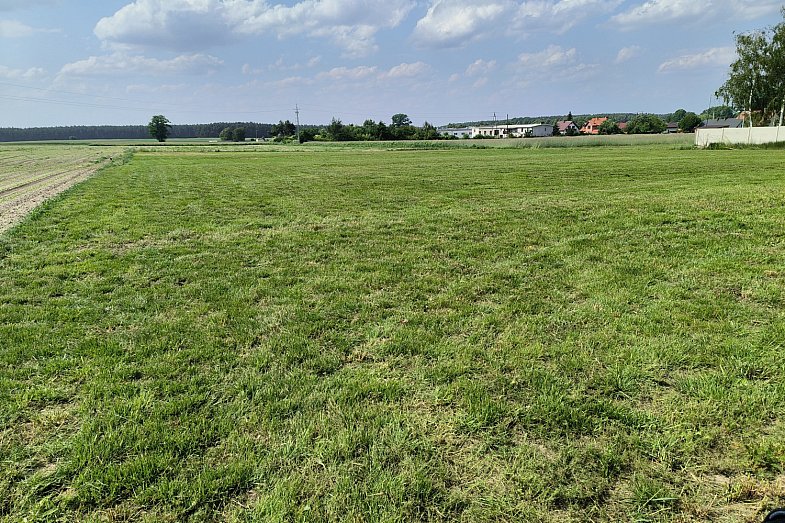 zdjecie ogloszenia