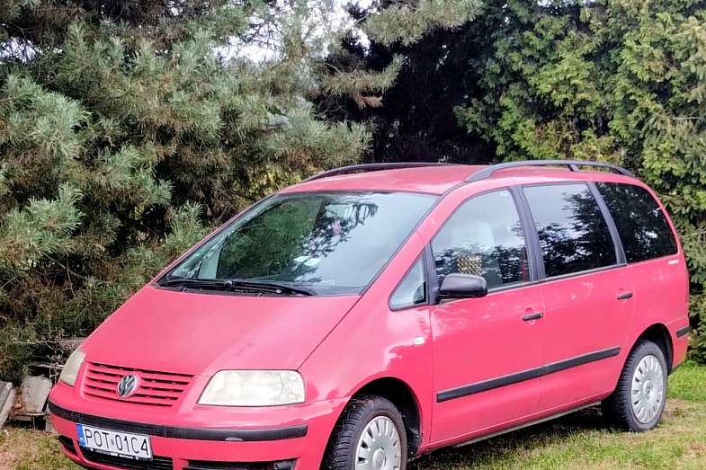 zdjecie ogloszenia