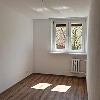 zdjecie ogloszenia