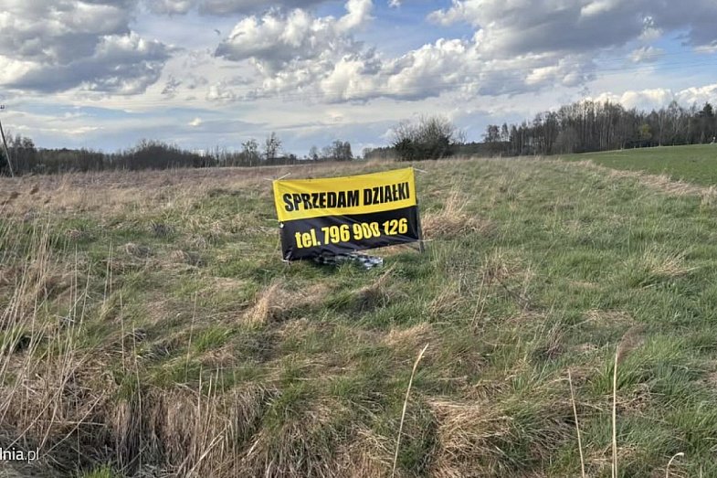 zdjecie ogloszenia