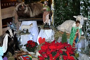 Mikstackie Betlejem AD 2025-2494