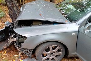Audi uderzyło w drzewo, a na citroena spadł jego konar -42306