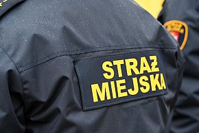 Zapuka strażnik, zapłacisz karę. Ruszyły kontrole w całej Polsce-42389