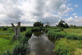 Co dalej z nowym parkiem narodowym? Minister klimatu zdradza plan po wecie-42737
