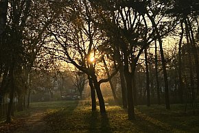 Nadchodzi najkrótszy dzień w 2025 roku. Sprawdź, kiedy przypadnie-43165