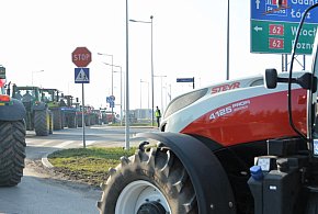 Rolnicy zapowiadają protest w całym kraju. Skala może zaskoczyć-43238