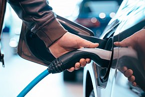 Coraz częściej dochodzi do takich kradzieży. Powody zaskakują-43464