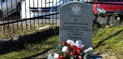 Odnowione groby wojenne na cmentarzu w Czajkowie-42632