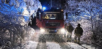 W niecałą dobę strażacy odnotowali 95 zdarzeń-42924