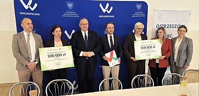 W powiecie ostrzeszowskim Pięknieje Wielkopolska Wieś