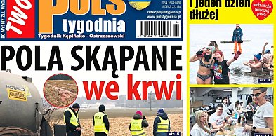 Sprawdź jaki jest Puls