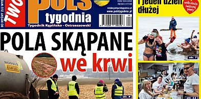 Sprawdź jaki jest Puls