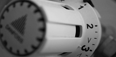 Pellet hurt i węgiel groszek dostępne od ręki